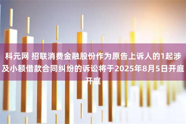 科元网 招联消费金融股份作为原告上诉人的1起涉及小额借款合同纠纷的诉讼将于2025年8月5日开庭